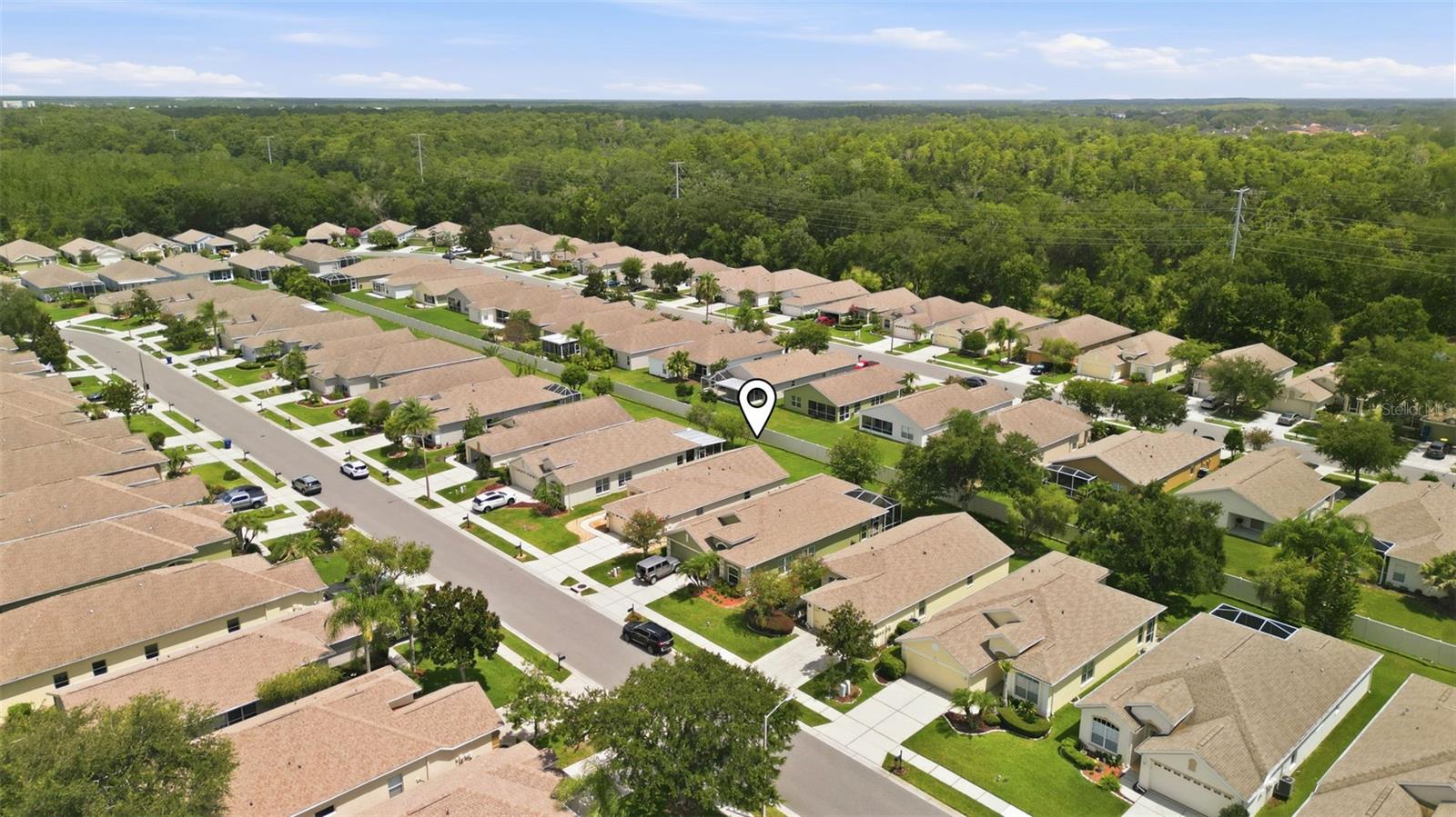 PLANTATION PALMS - Residential