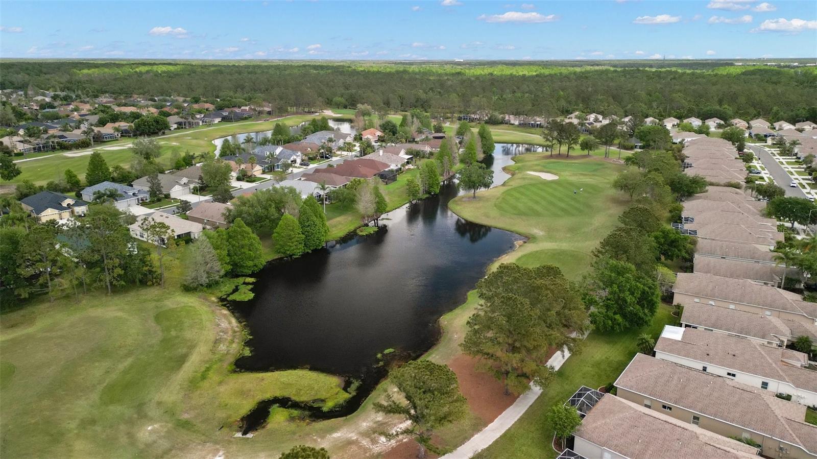 PLANTATION PALMS - Residential
