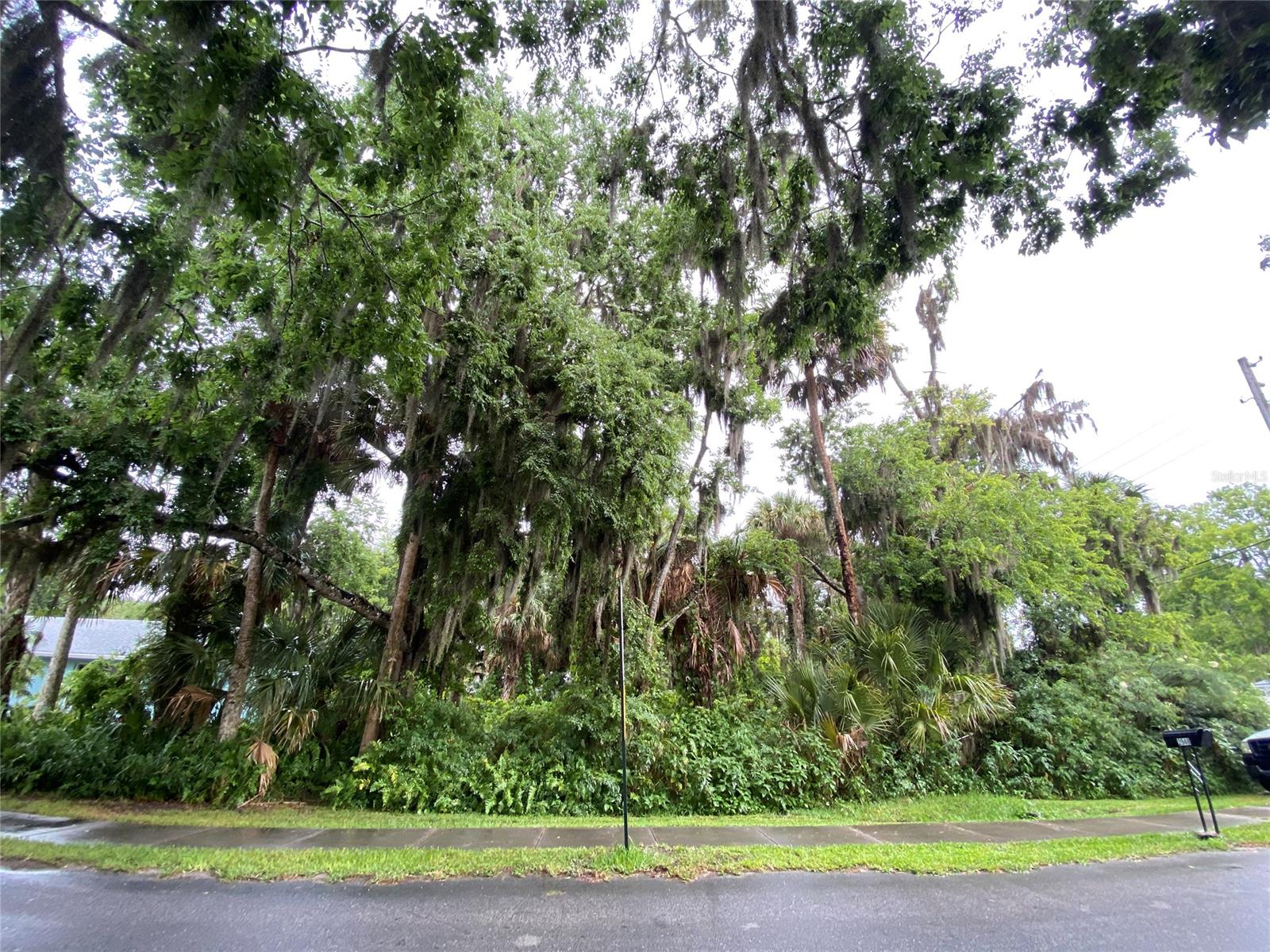 Florida Shores 01 - Land