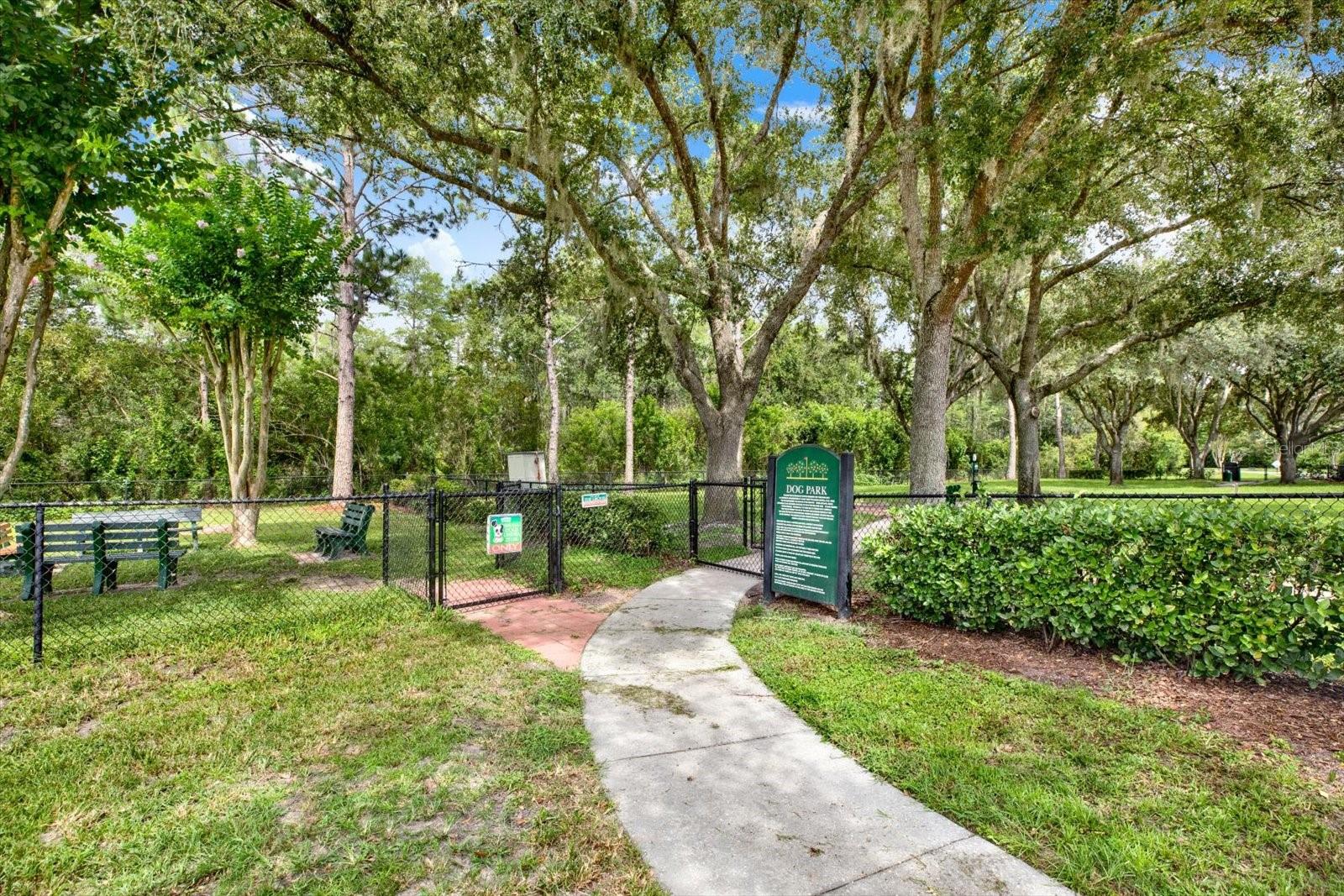GROVES PHASE IV - Residential
