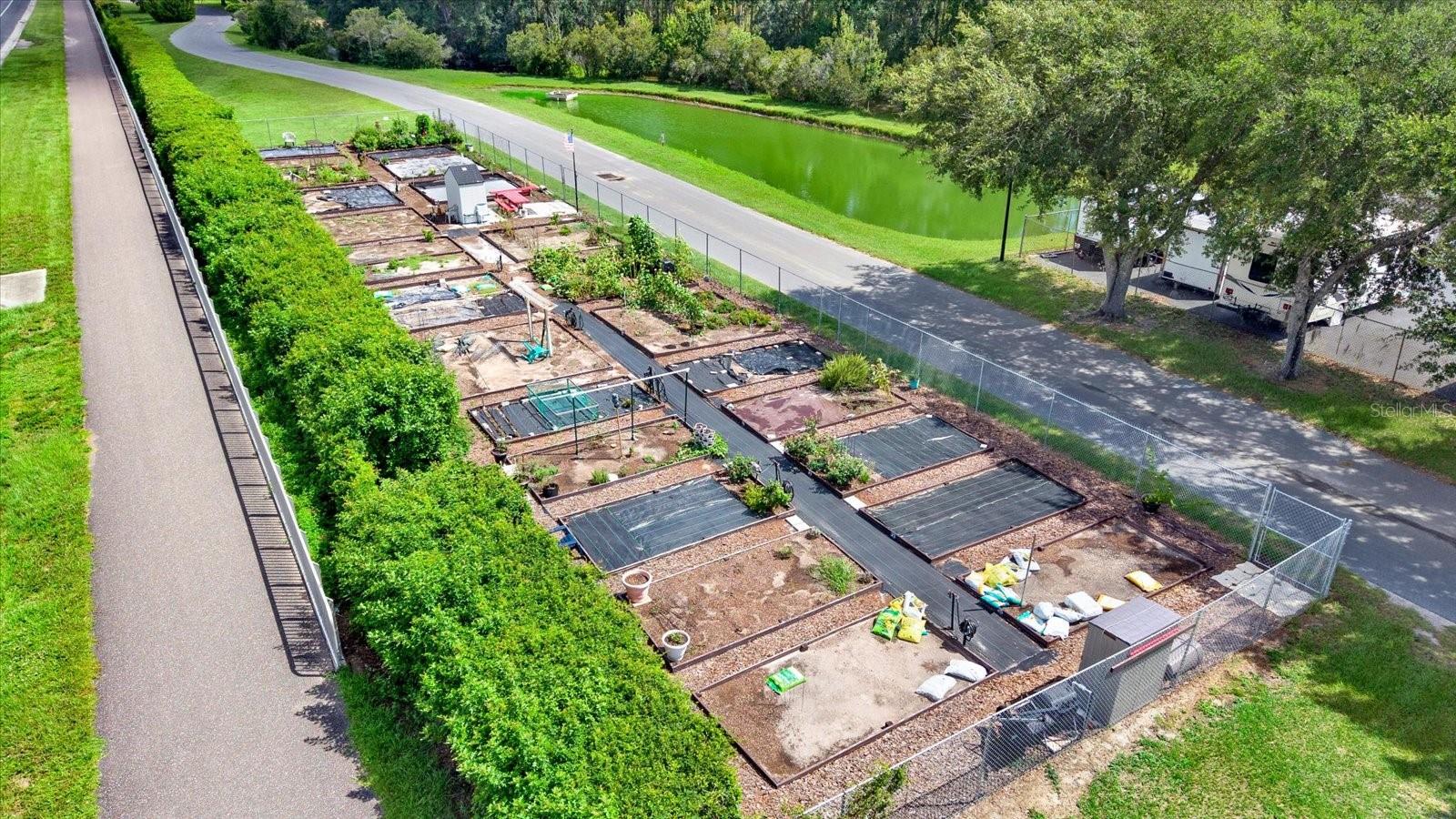 GROVES PHASE IV - Residential