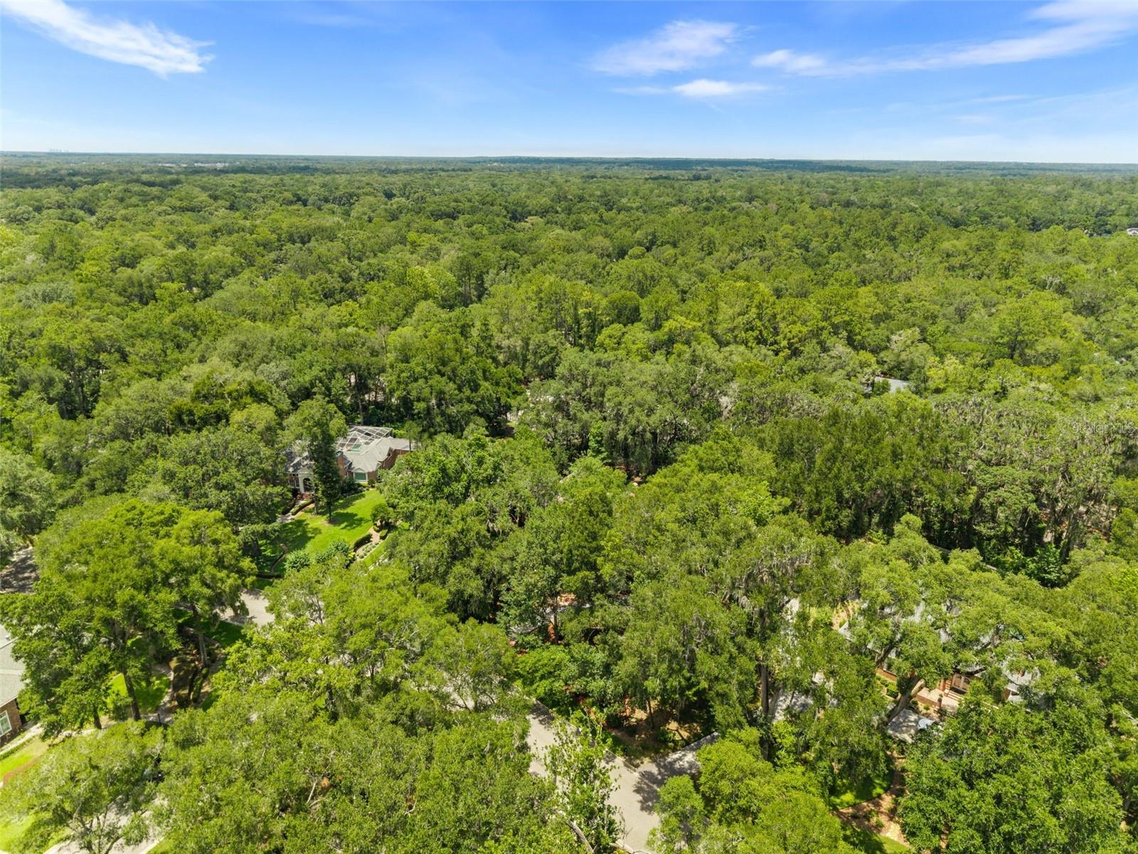 HAILE PLANTATION - Residential