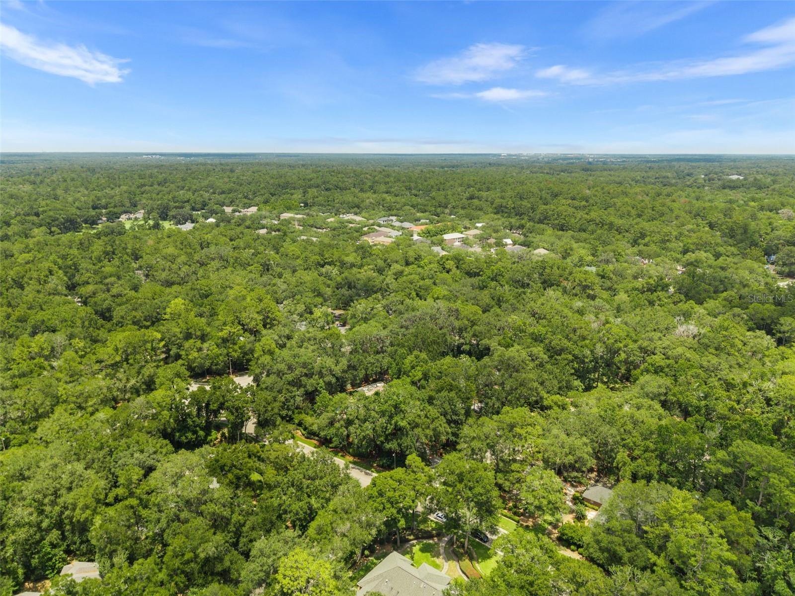 HAILE PLANTATION - Residential