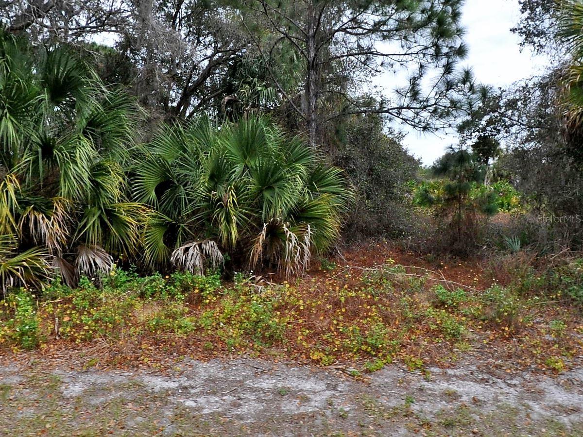 PORT CHARLOTTE SUB 37 - Land