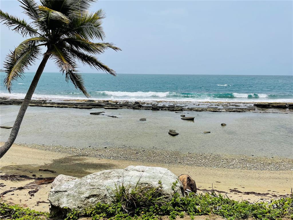 PATILLAS 3 BEACHFRONT PARCELS 1MILE SANDY BEACH - Farm