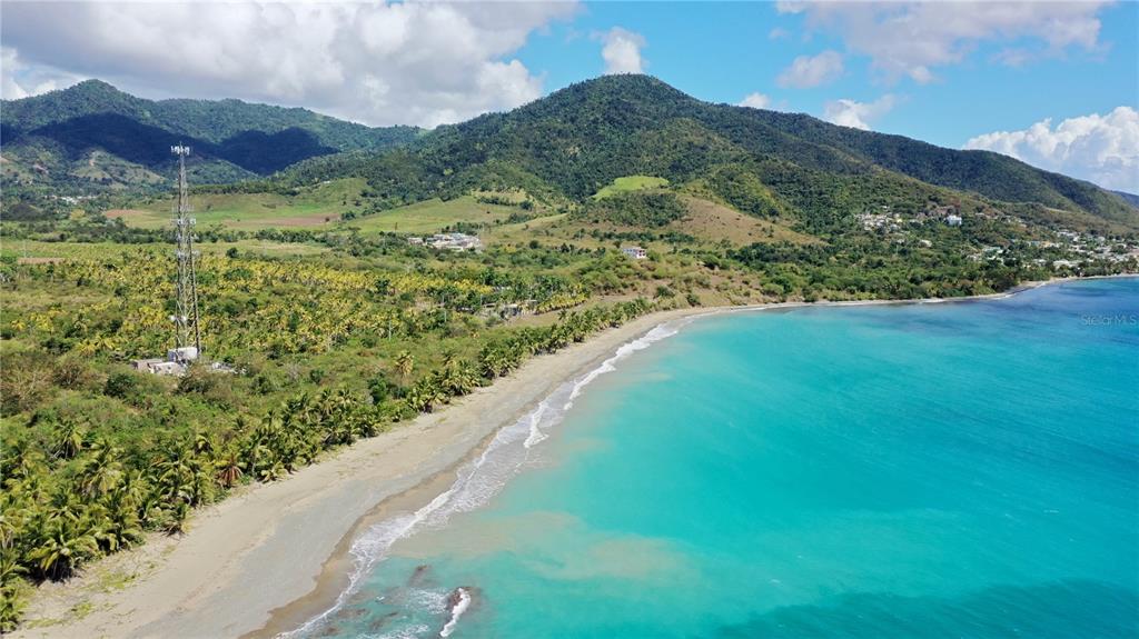 PATILLAS 3 BEACHFRONT PARCELS 1MILE SANDY BEACH - Farm