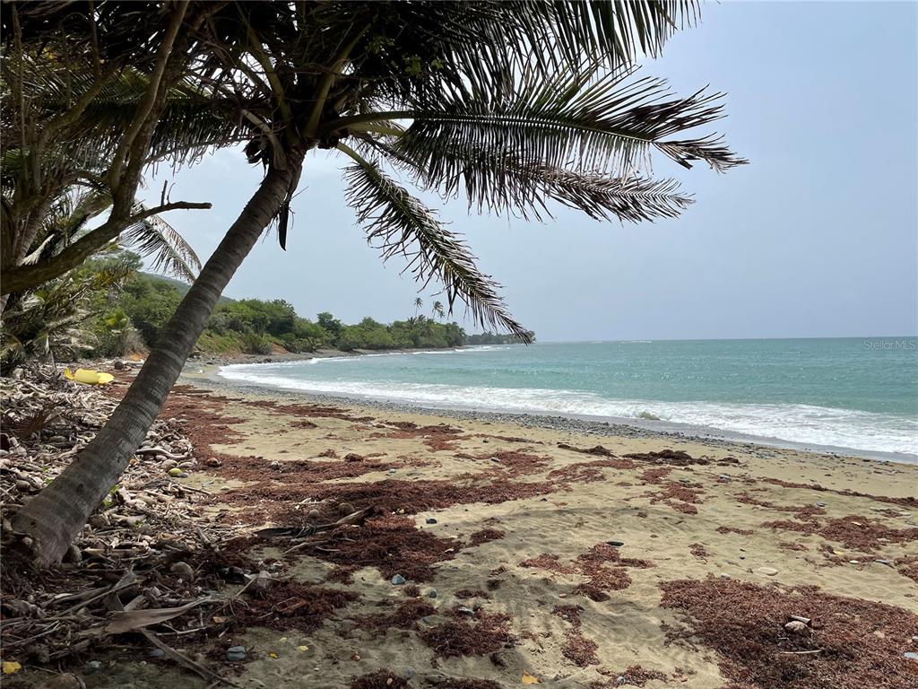 PATILLAS 3 BEACHFRONT PARCELS 1MILE SANDY BEACH - Farm