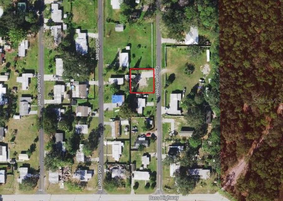 0.15 Acres of Cleared Vacant Land – Ready to Build!

Don't miss this fantastic opportunity to own 0.15 acres of cleared residential land that's ready for your new construction home or manufactured home! This residentially zoned property already has power, a septic system installed in 2016, and a private well installed in 2020, saving you time and money as you prepare to build.

An added bonus is a $27,777 credit toward impact fees, offering significant savings for your future construction project. The property also has no HOA and no CDD fees, giving you greater flexibility and fewer ongoing expenses.

Enjoy the perfect balance of peaceful living and convenient access to recreation and everyday amenities. Located less than one mile from the Trout Lake Public Boat Ramp, you'll have easy access to Trout Lake and the Alligator Chain of Lakes, making it ideal for boating, fishing, and other outdoor activities.

Conveniently situated near shopping, medical facilities, restaurants, and more, this property is also less than an hour from Florida's beautiful beaches. Whether you're looking to build your dream home, place a manufactured home, or invest in a growing area, this property offers outstanding value with existing improvements, substantial impact fee savings, and an unbeatable location.