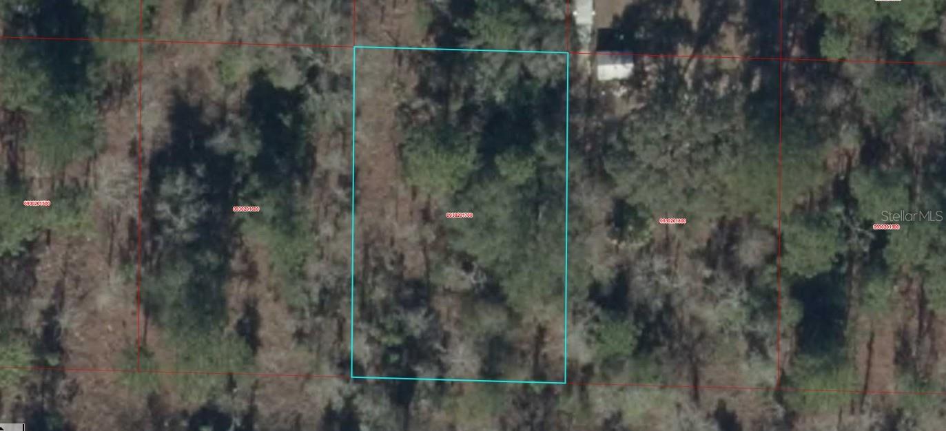 A VACANT LOT IN WILLISTON IN LEVY COUNTY!!!