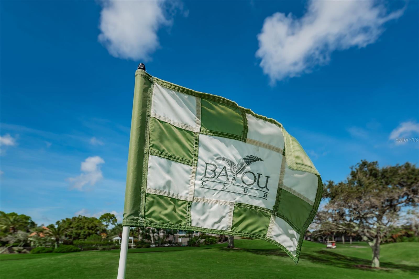BAYOU CLUB BLVD EXT TR 1-PH 1 & TR 2-PH 1 - Residential