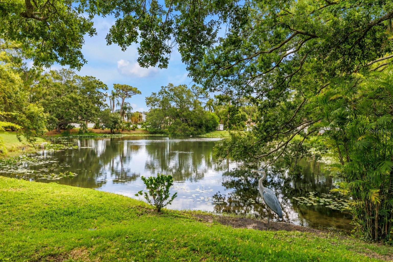 ARBORS AT BARDMOOR THE - Residential