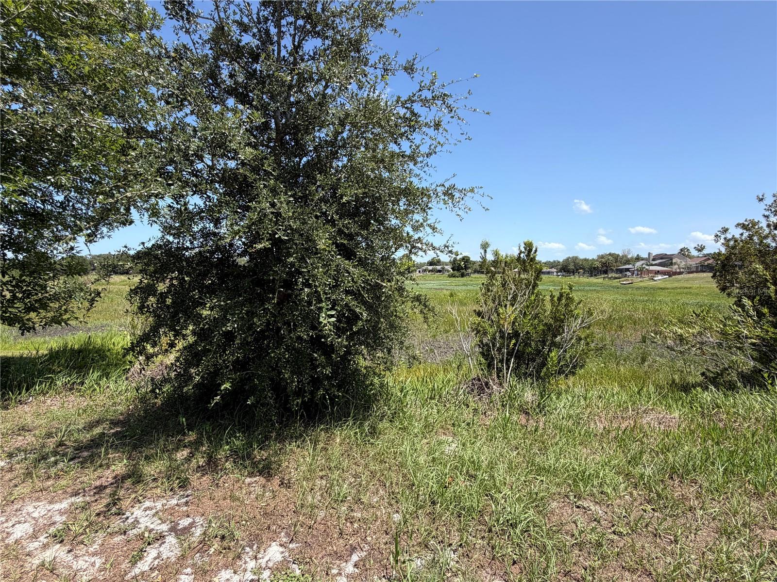 SPRING HILL - Land