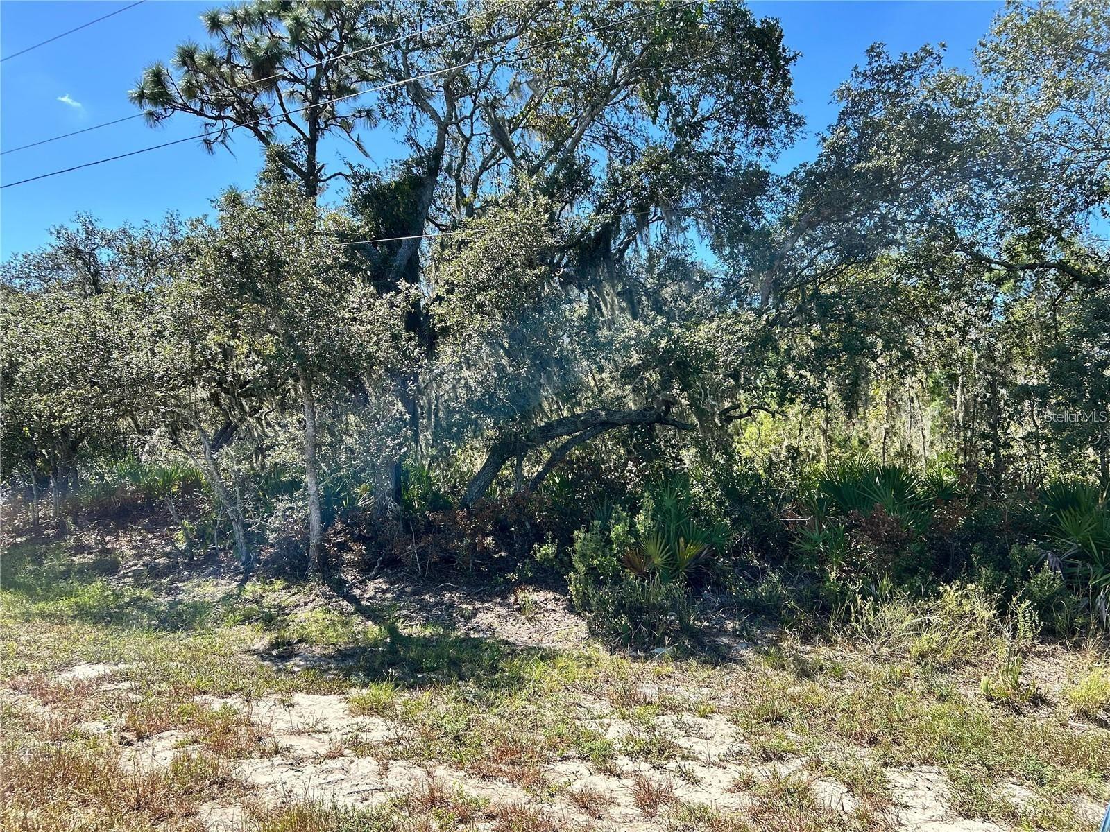 Discover the opportunity to own a piece of peaceful, rural Florida in Frostproof. This vacant land offers the perfect setting for a future homesite, weekend getaway, or long-term investment. Located in a quiet, natural environment with easy access to local lakes and major roadways, the property provides plenty of potential for development while maintaining the privacy and charm of country living. Bring your ideas and make this land your own. Beautiful vacant lot in Frostproof, FL — ideal for your dream home or private retreat. Enjoy open space, fresh air, and a serene setting just minutes from town. Whether you’re looking to build, invest, or create a quiet escape, this property offers flexible use and great potential. Don’t miss the chance to secure affordable land in a growing area of Polk County. Great investment opportunity in Frostproof! This vacant parcel sits in an area experiencing steady growth and increasing demand for land. With convenient access to Highway 27 and nearby lakes, the property offers strong long-term potential for development, recreation, or land banking. A smart addition to any real estate portfolio.