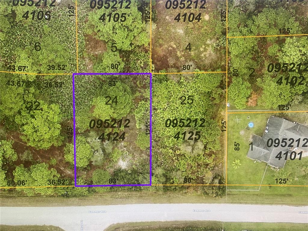 Great location, close to Venice and Englewood beaches with easy access to I-75. In a growing area of North Port still very close to Venice and Englewood. Not located in a flood zone. No HOA, no deed restrictions.  Schedule your showing today. Very close to Warm MINERAL SPRINGS. Must See!