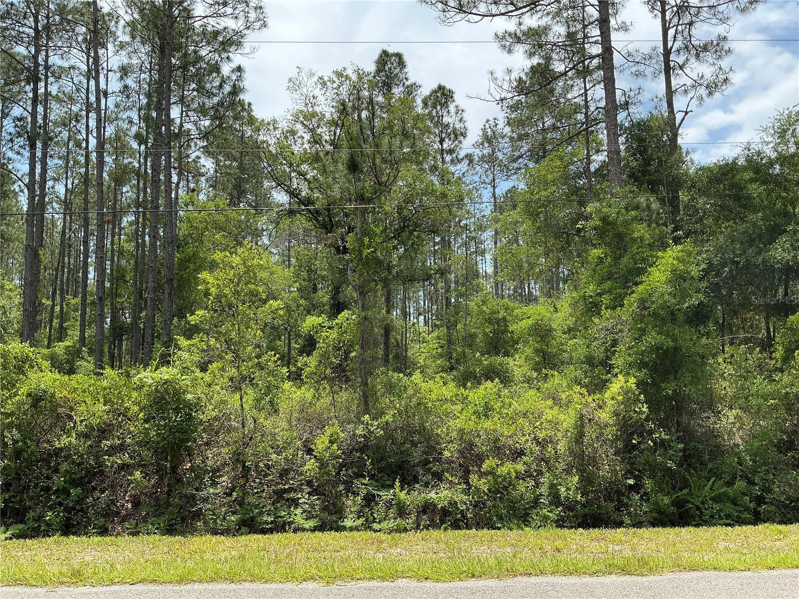 Discover the space and flexibility you've been looking for with this 1.10-acre residential lot located in the growing community of Hastings. Offering over an acre of land, this property provides an excellent opportunity to build your dream home while enjoying the privacy and tranquility of Northeast Florida's countryside. Situated on a paved road with power available, this homesite is well-positioned for future development and residential construction. The property has also received a clear inspection, providing added confidence for buyers seeking a ready-to-build parcel. Enjoy a peaceful rural atmosphere while remaining conveniently close to the amenities of St. Augustine, including shopping, dining, healthcare facilities, and entertainment. Outdoor enthusiasts will appreciate the area's natural beauty, nearby parks, conservation lands, and recreational opportunities. Easy access to major roadways also allows for convenient travel to Palm Coast and Jacksonville.