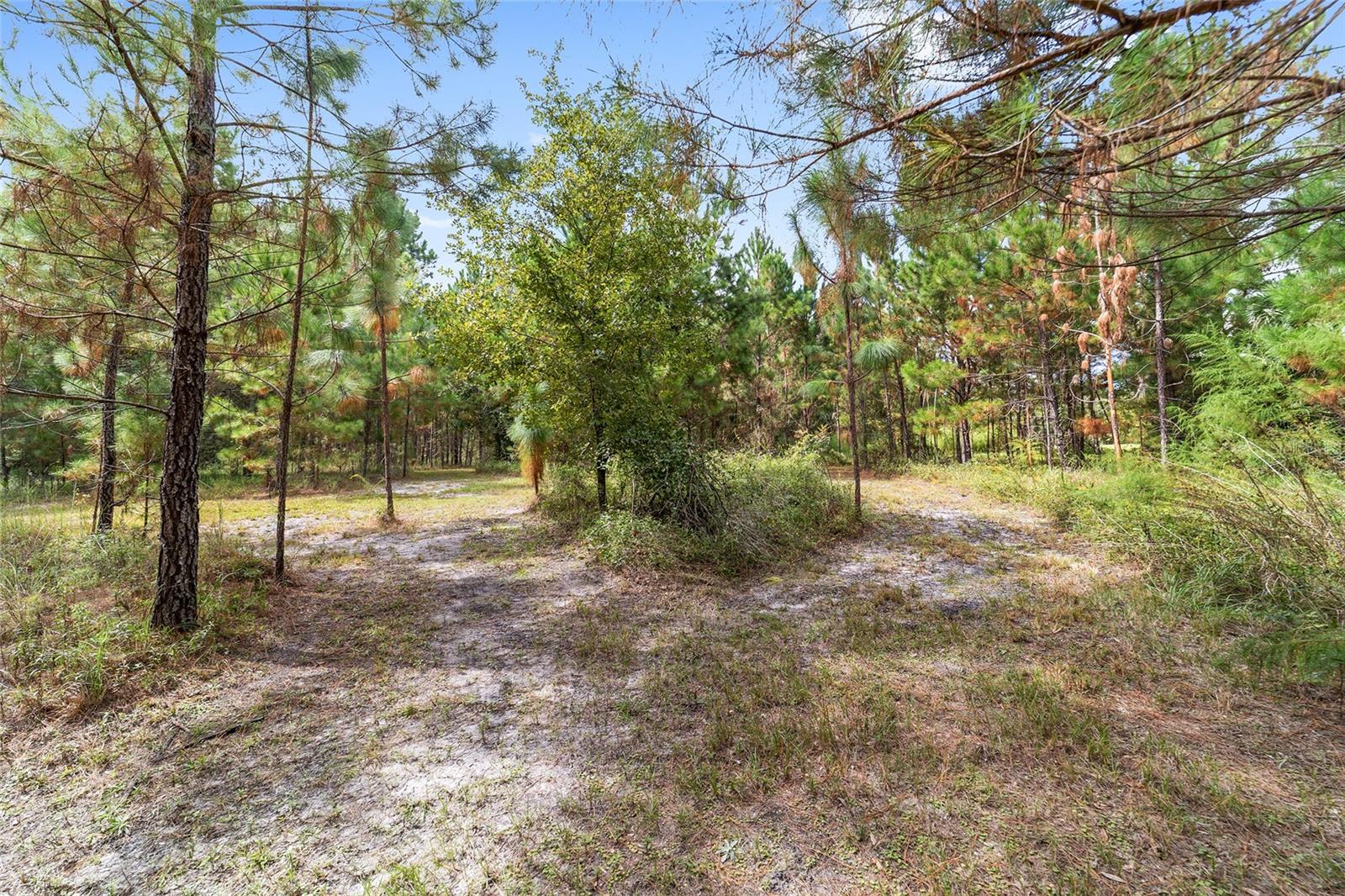 ROYAL OAKS FARMS - Residential