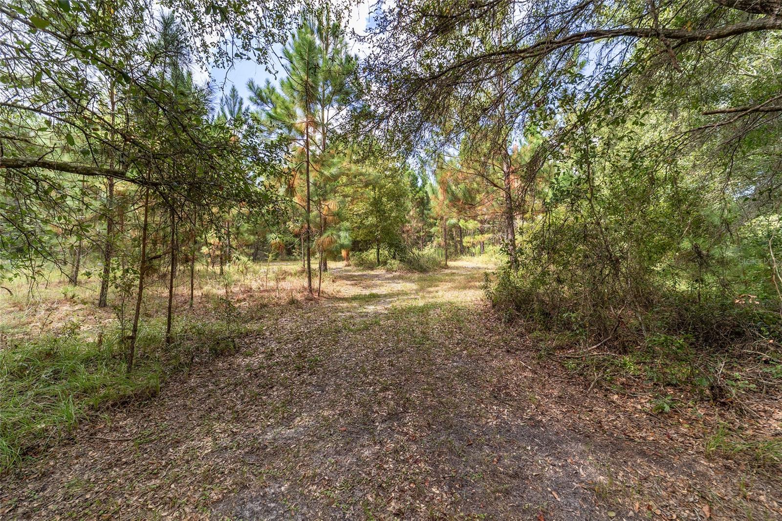 ROYAL OAKS FARMS - Residential