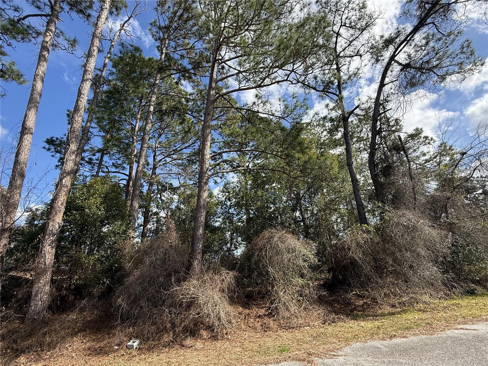 This Charming .17/acre property is tucked along the waters edge in Halfmoon Lake Homesites community in Silver Springs. Looks like a great place for Fishing, Kayaking and Airboating.  Great location between the great city of Ocala and Ocala Forest. The property is zoned R4 which allows residential homes or manufactured homes. Please confirm with Marion County building and utility information.