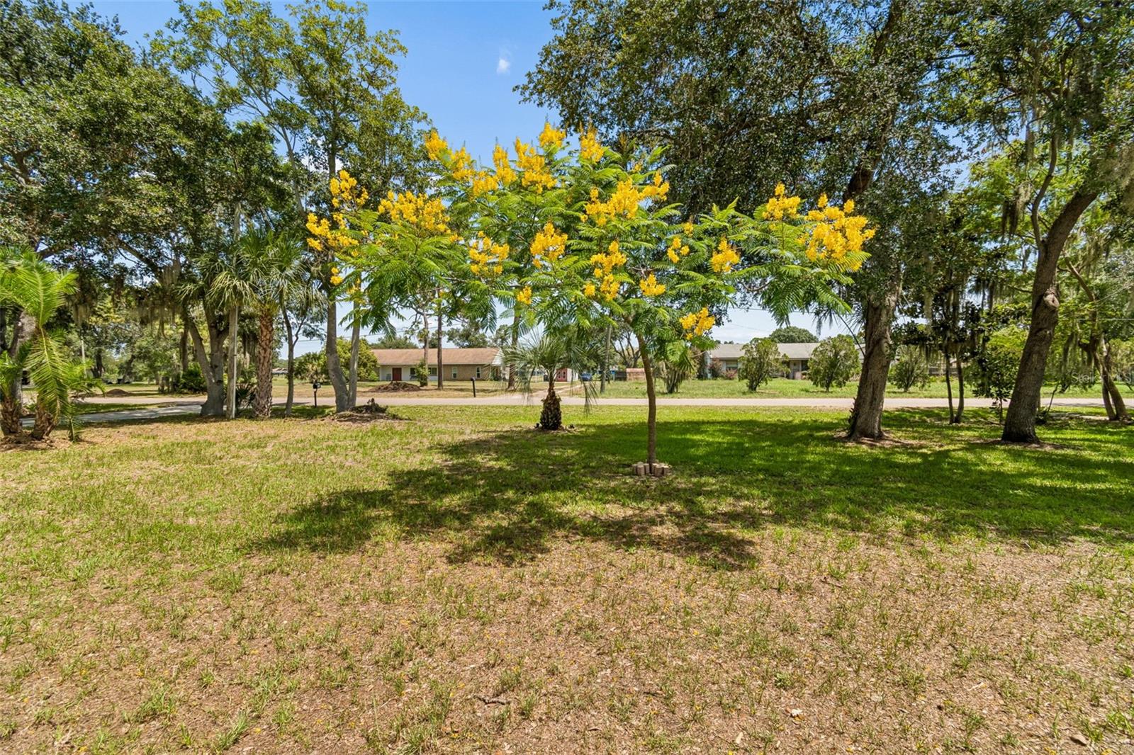 UNPLATTED - Residential Lease