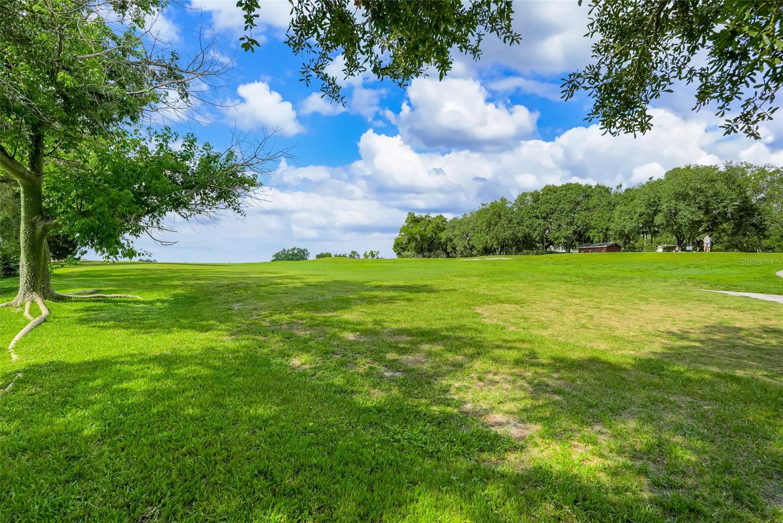 VILLAGE GREEN - Residential