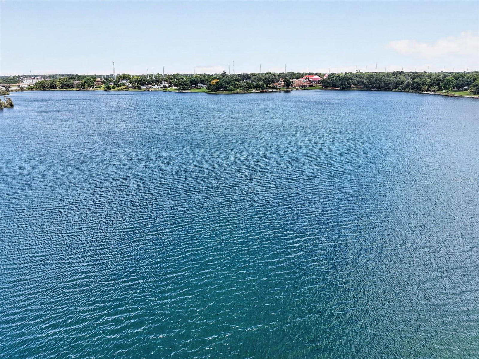 EUSTIS LAKE WOODWARD ESTATES - Residential