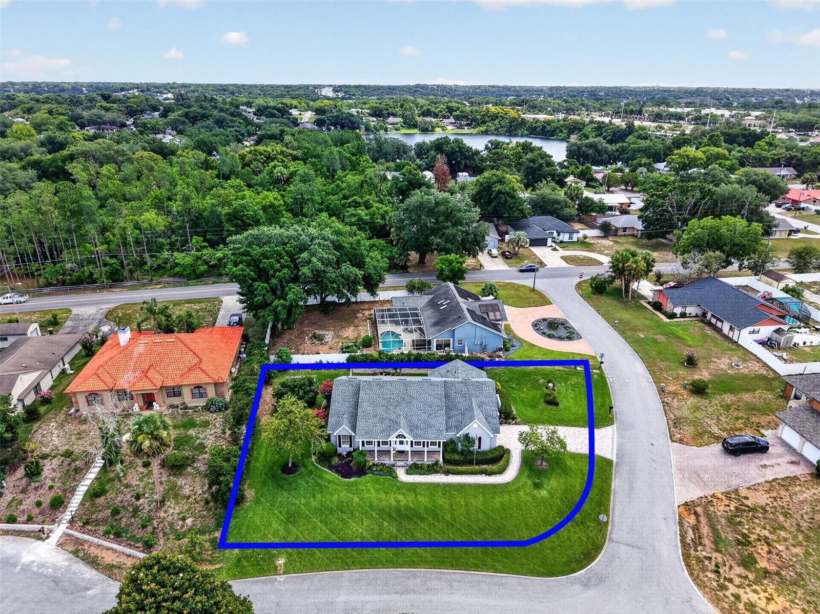 EUSTIS LAKE WOODWARD ESTATES - Residential