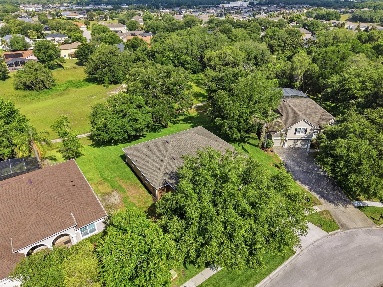 ROCK SPRINGS RIDGE - Residential