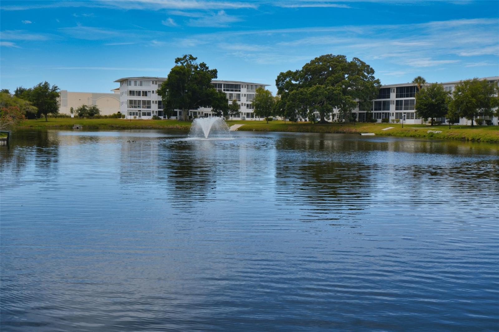SEMINOLE GARDEN APTS CO-OP - Residential