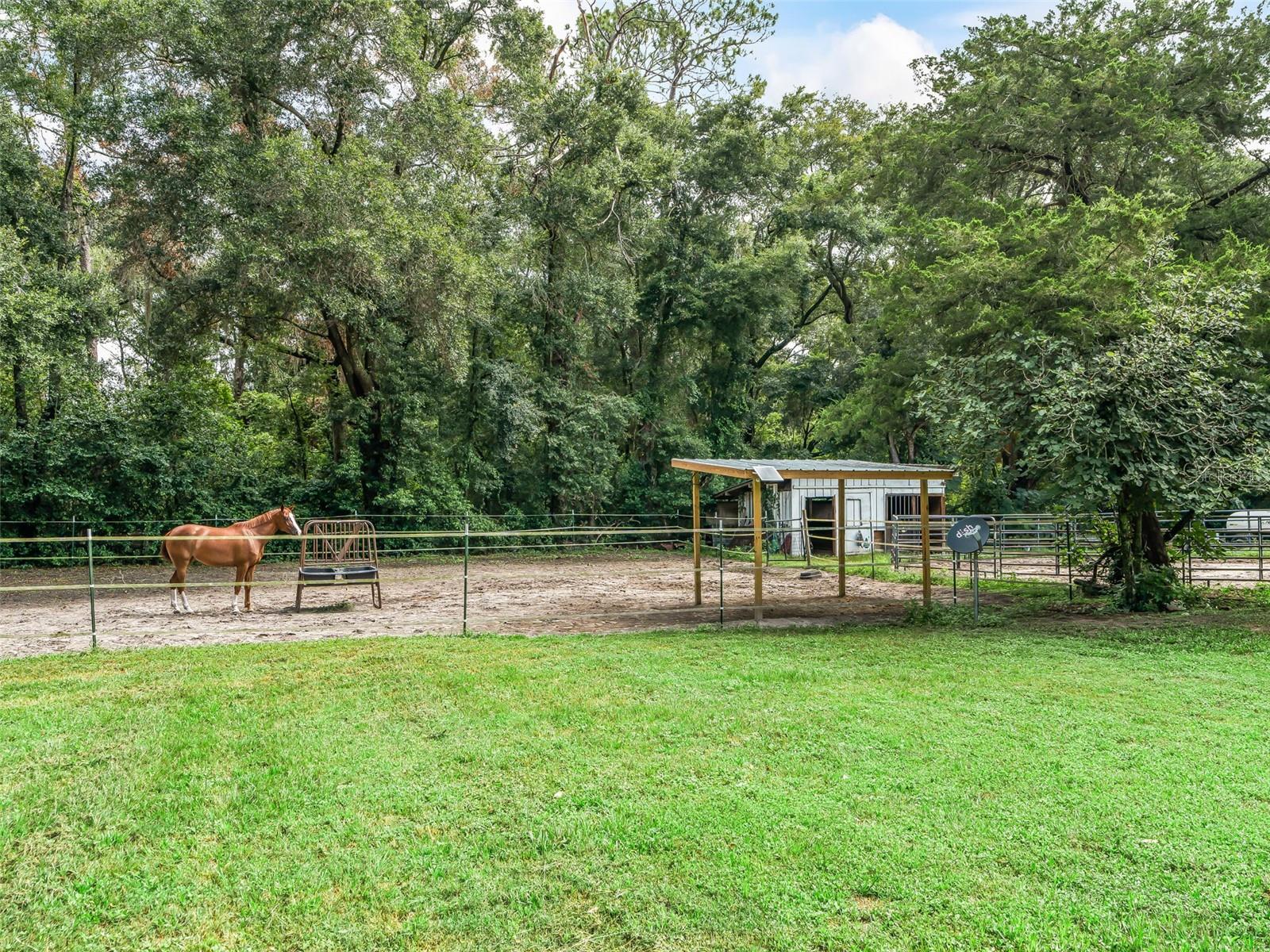 GOLDEN MEADOW FARMS - Residential