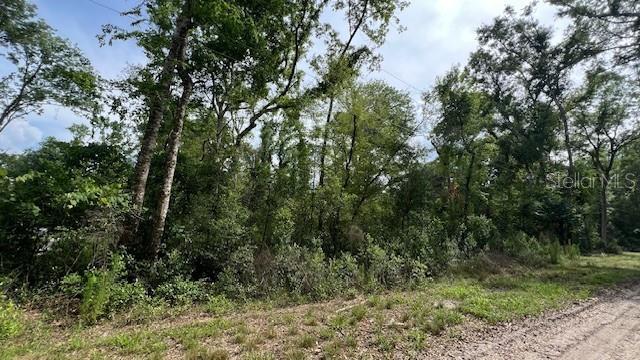THREE RIVERS ESTATES - Land