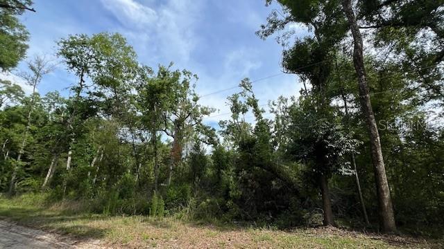 THREE RIVERS ESTATES - Land
