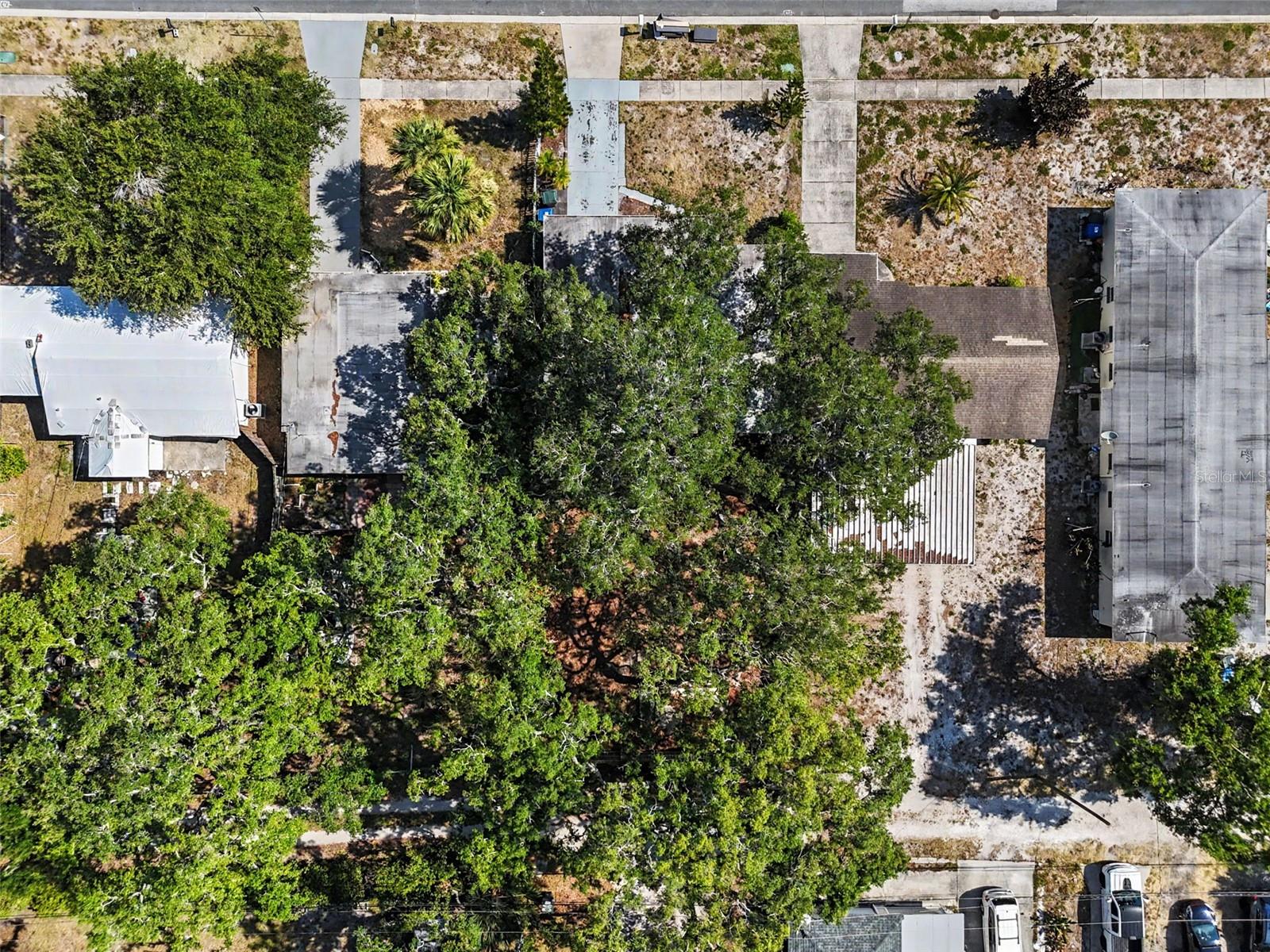 BELLEVUE PARK - Residential