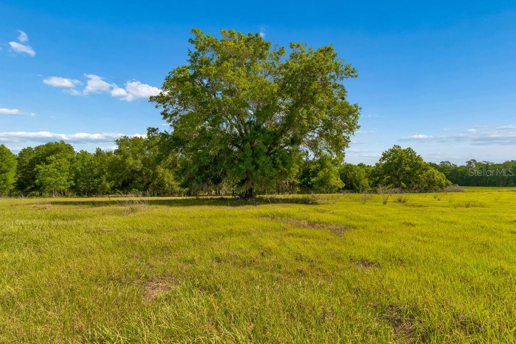 LAKEVIEW XINGS-PH 3 - Land