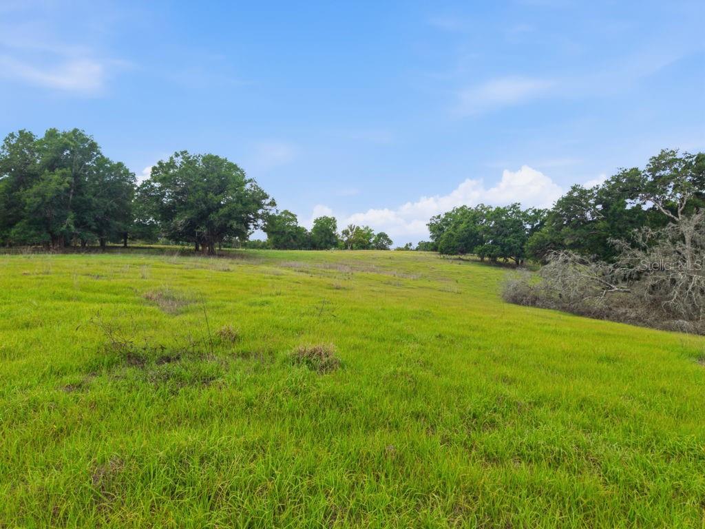 LAKEVIEW XINGS-PH 3 - Land
