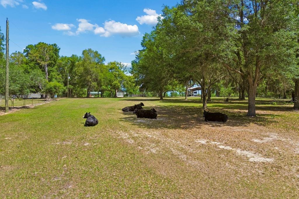 LAKEVIEW XINGS-PH 3 - Land