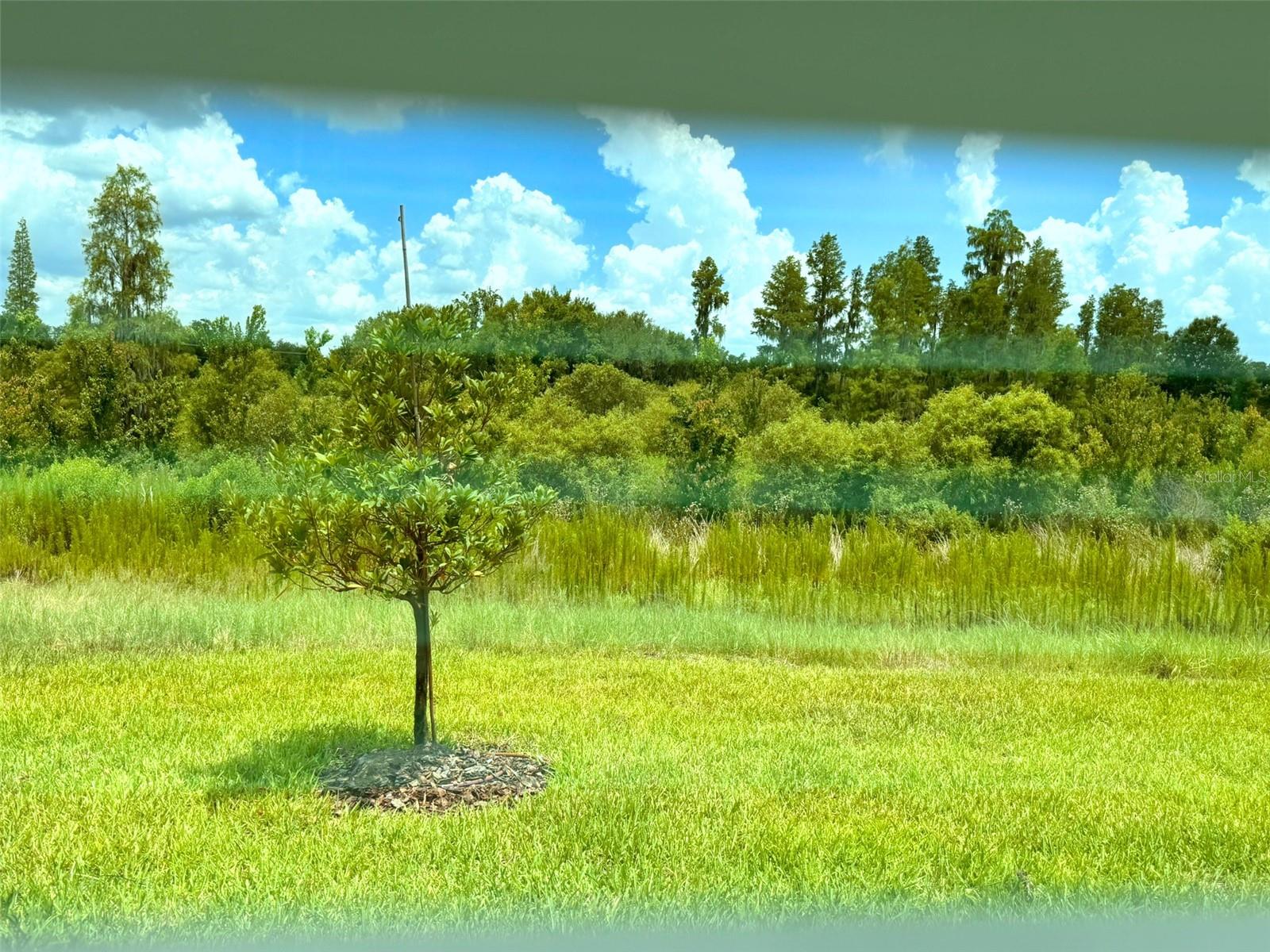 TWO RIVERS - Residential Lease
