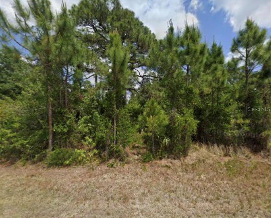 Great property to build your home
