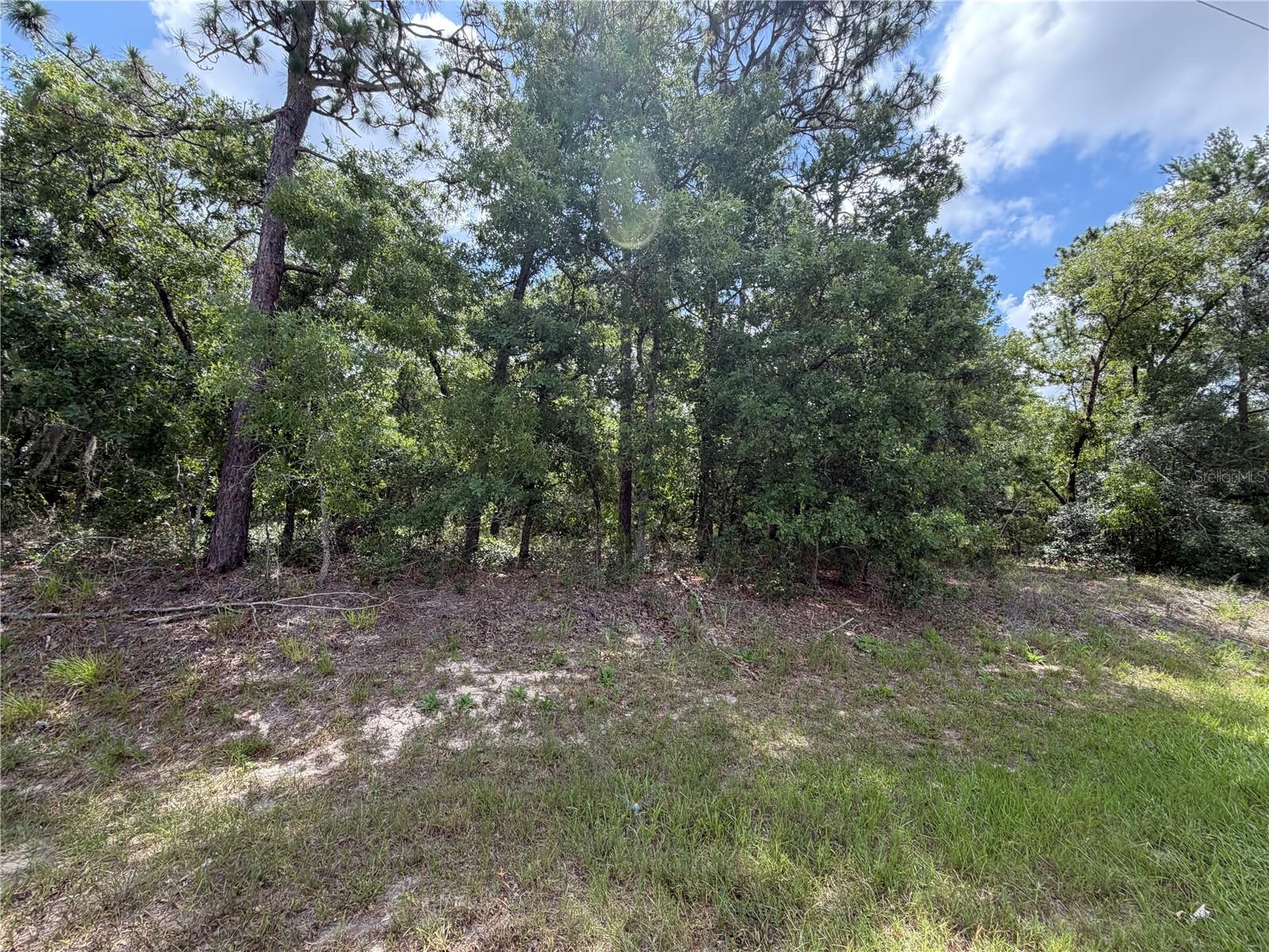 SUGARMILL WOODS CYPRESS VILLAGE - Land