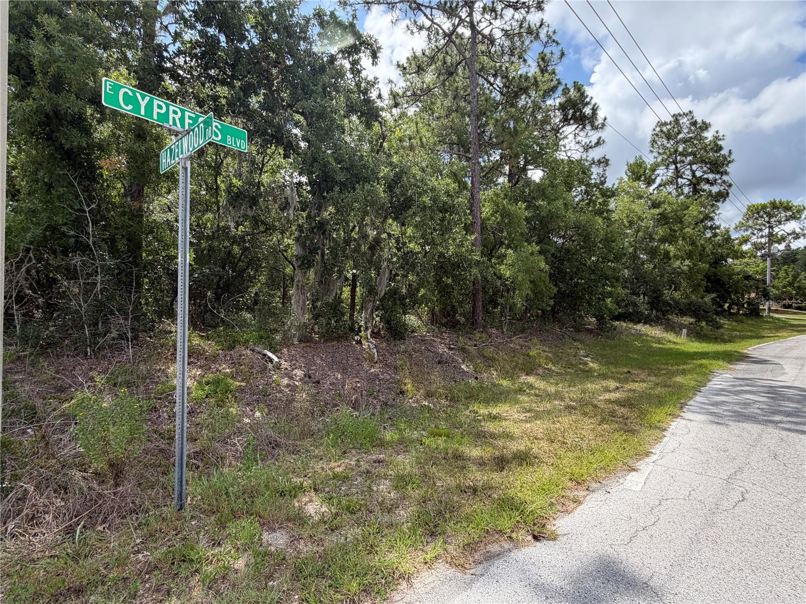 SUGARMILL WOODS CYPRESS VILLAGE - Land