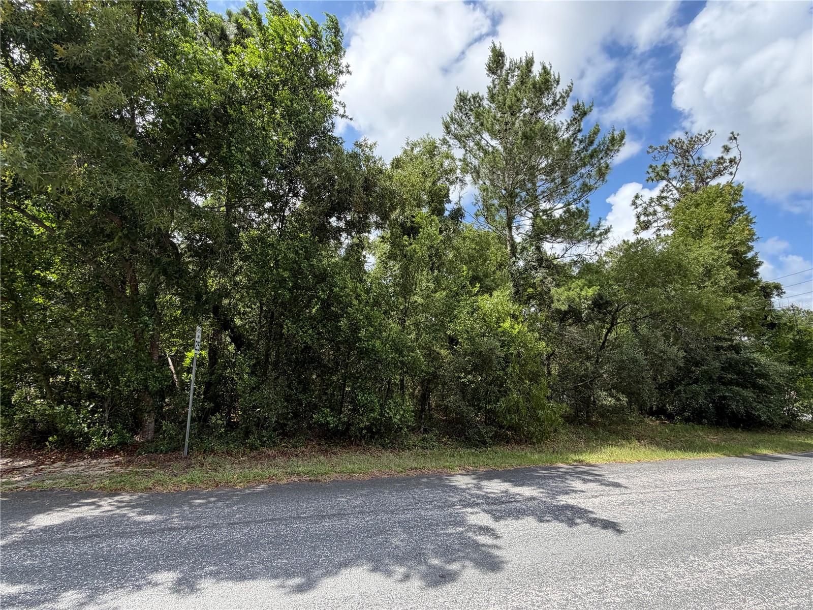 SUGARMILL WOODS CYPRESS VILLAGE - Land