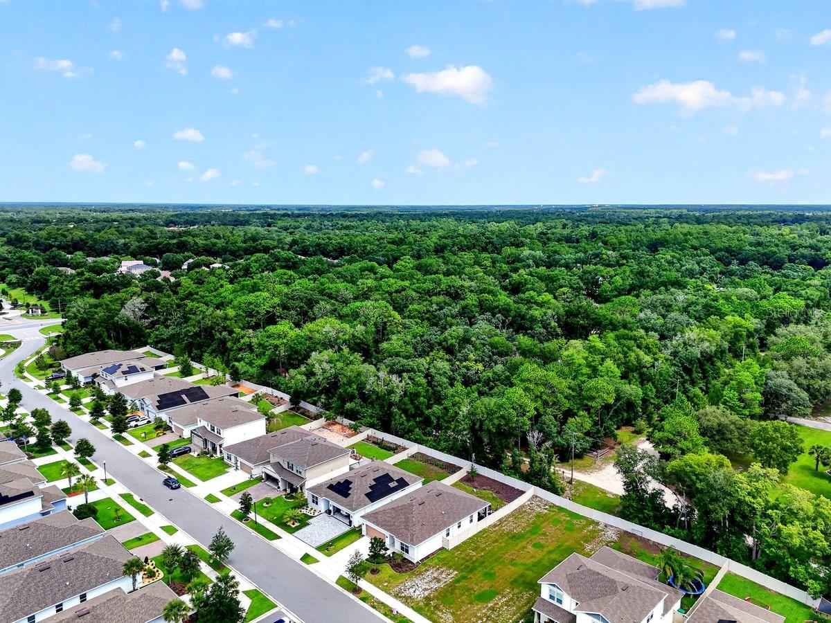 CANOPY TERRACE - Residential