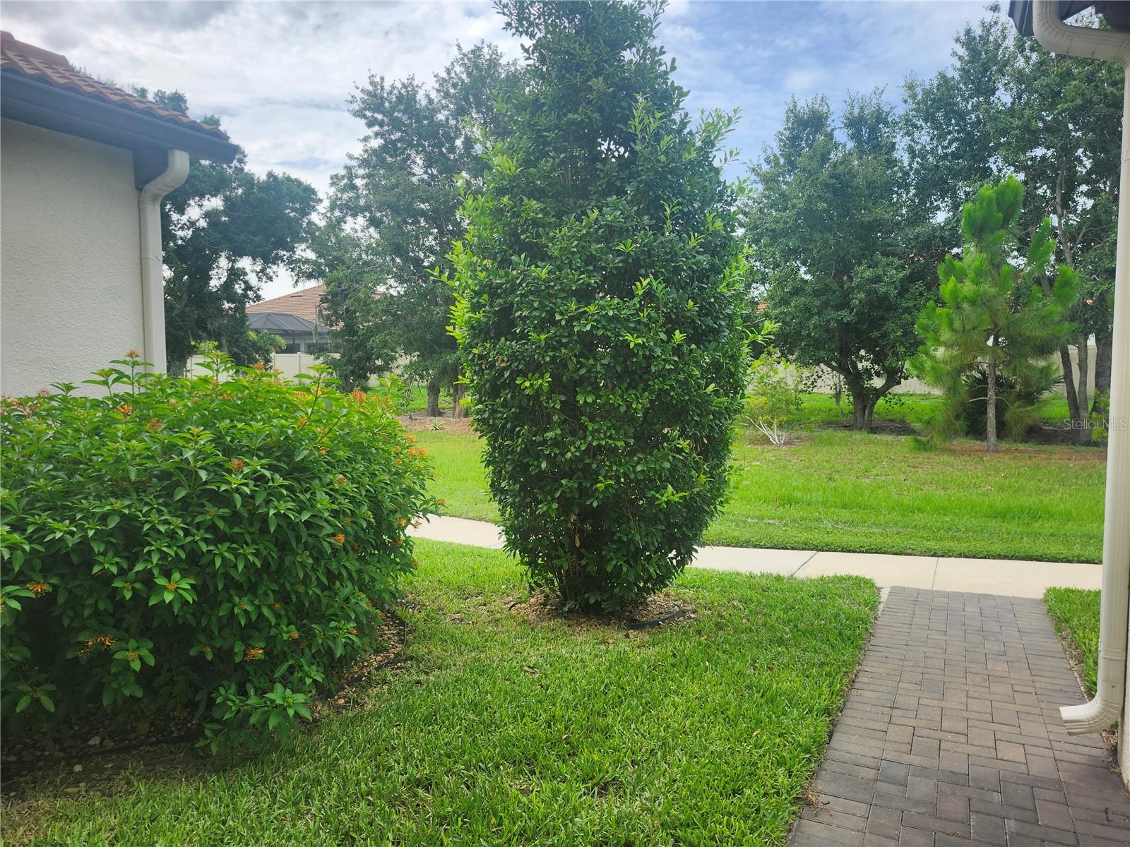 FOREST BROOKE ACTIVE ADULT PH - Residential