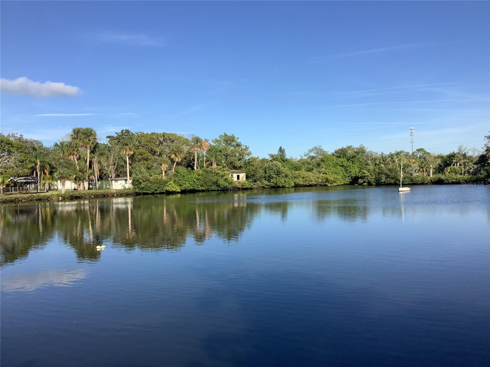 Beautiful UNIQUE WATERFRONT property with almost 1/2 ACRE on your very own PENINSULA! Build your elevated home,  getaway retreat or just use to store your boat or toys. VACANT LOT SURROUND BY WATER ON ALL 3 SIDES in the waterfront and GOLF CART Friendly community of Hudson Beach.  Property is cleared, has newer Rip Rap all the way around the 230’ of water frontage and there are utilities available nearby. Dry land area is approximately 5,800 SF. with views of brackish lake and canal that leads to the Gulf. No direct gulf access from the lot.  VERY SERENE SETTING! Close to all kinds of shopping and walk to the nearby waterfront restaurants to watch the sunsets. Boat ramp and Hudson Marina nearby to launch your boat for a day on the Gulf for some saltwater fishing or dolphin watching! You will feel like you are on your very own island. NO HOA.