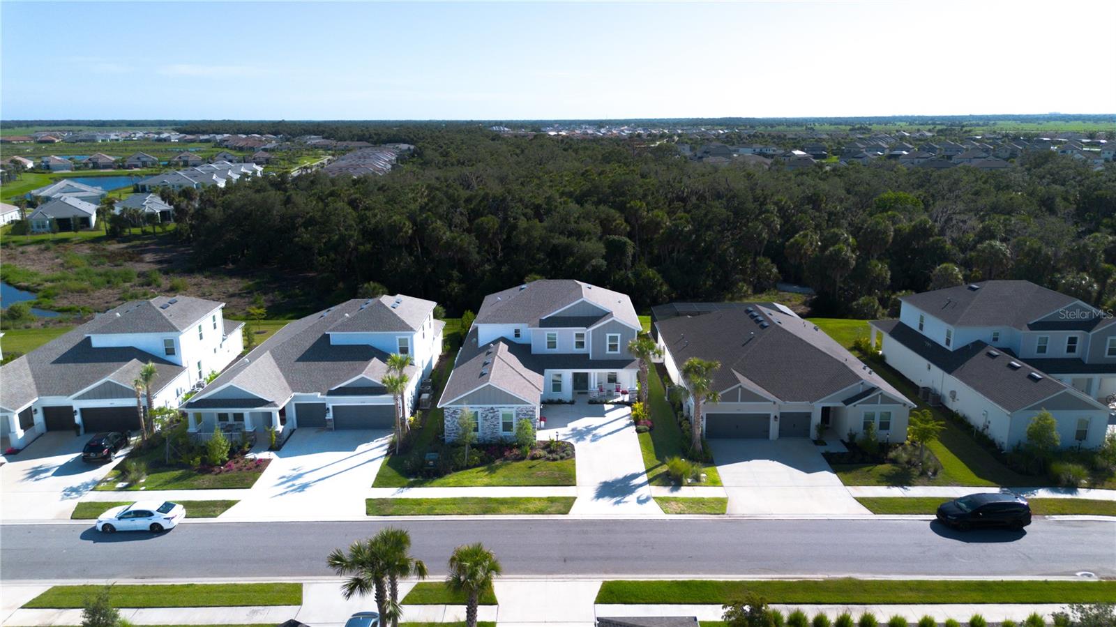 SKYE RANCH NEIGHBORHOOD THREE - Residential