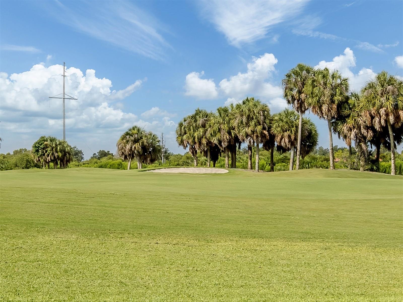 VENETIAN GOLF & RIVER CLUB - Residential