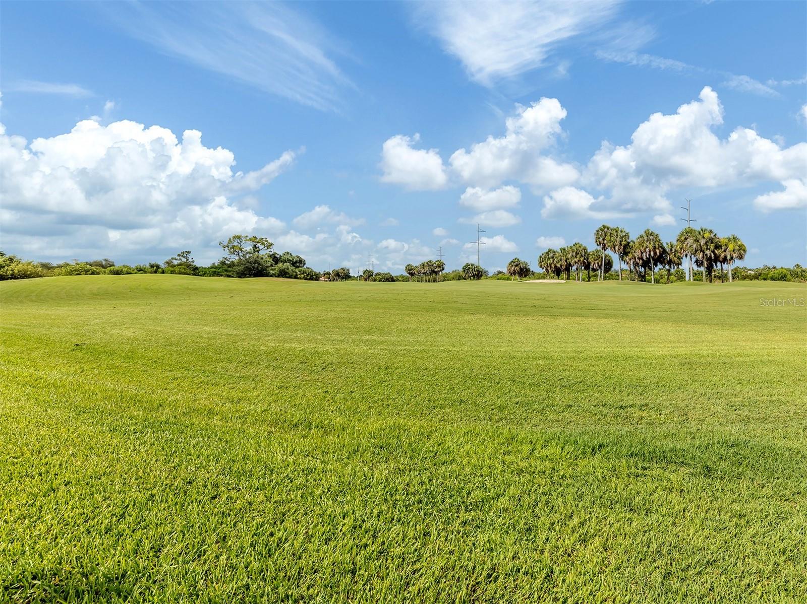 VENETIAN GOLF & RIVER CLUB - Residential