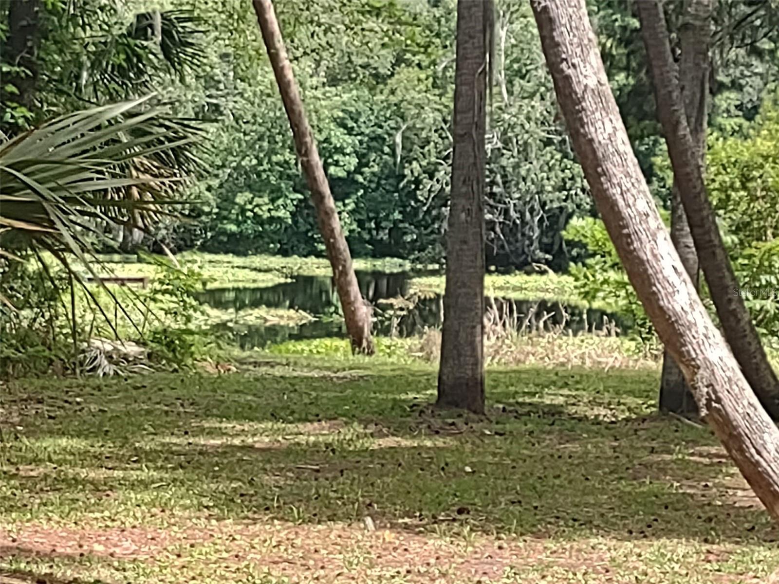 ASTOR FOREST CAMPSITES UNREC - Residential