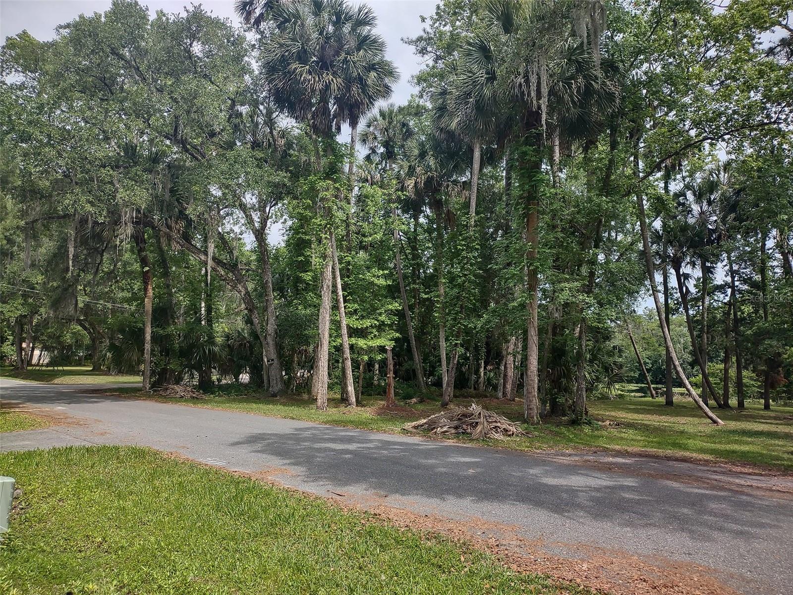 ASTOR FOREST CAMPSITES UNREC - Residential