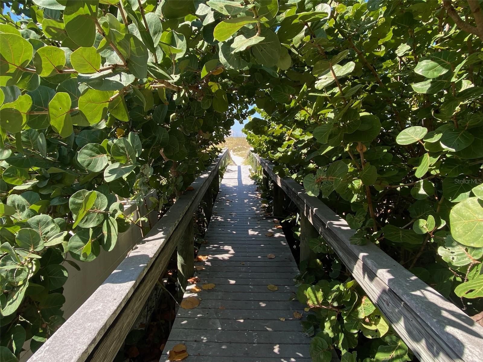 FRIENDLY NATIVE BEACH RESORT - Residential