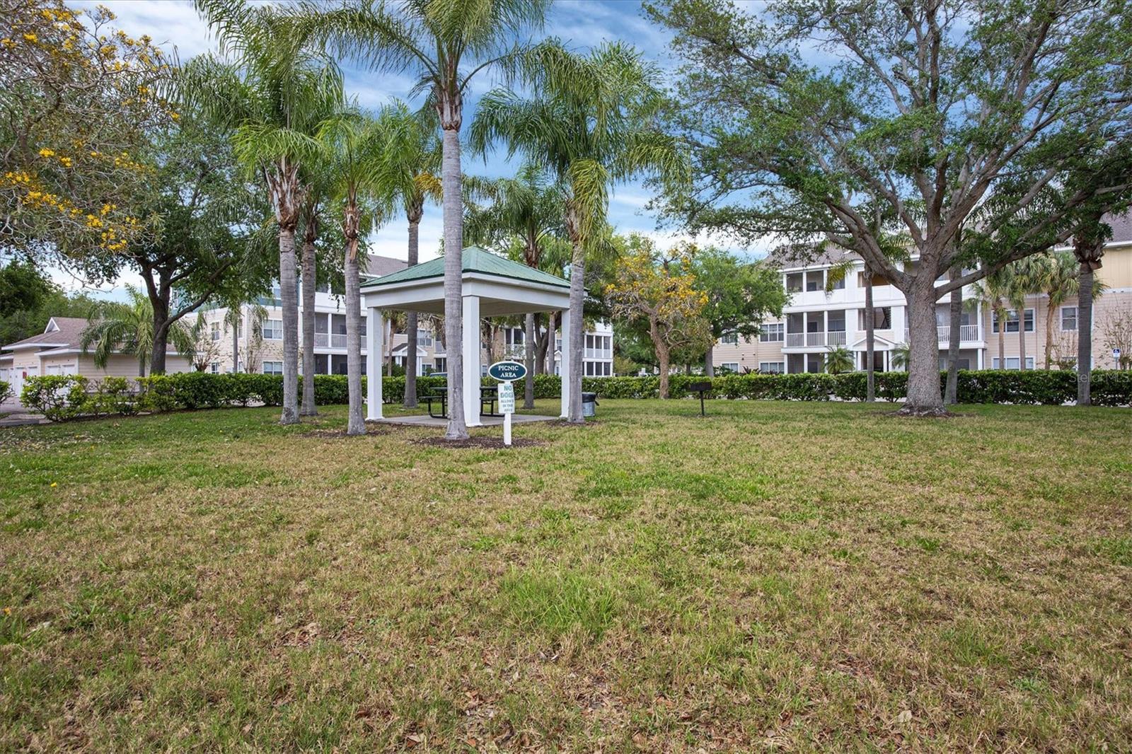 THE PALMS OF CORTEZ - Residential